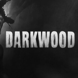 Darkwood EU Steam CD Key